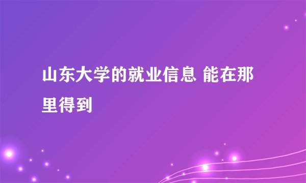 山东大学的就业信息 能在那里得到