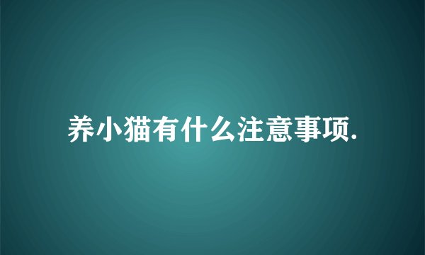 养小猫有什么注意事项.
