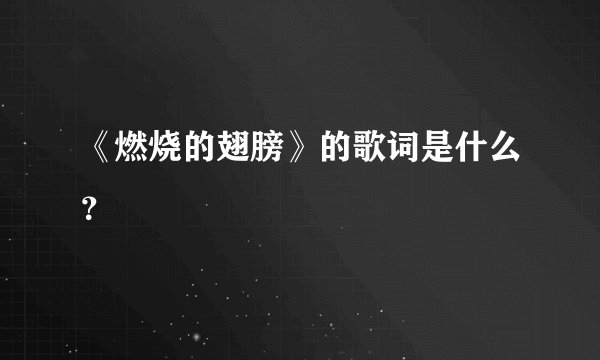 《燃烧的翅膀》的歌词是什么？