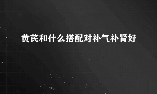 黄芪和什么搭配对补气补肾好