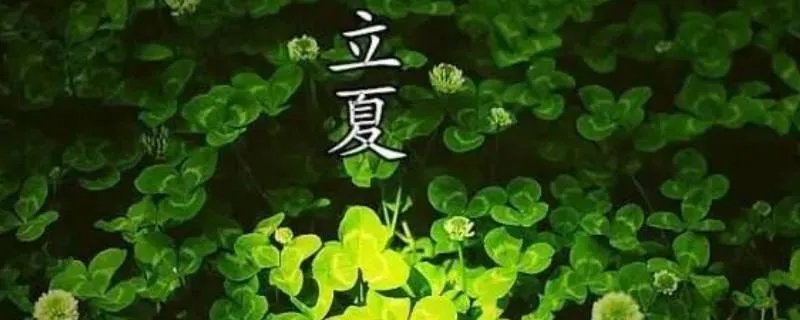 立夏和夏至的区别