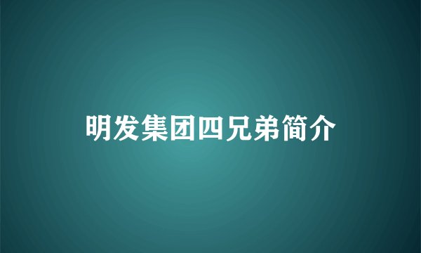 明发集团四兄弟简介
