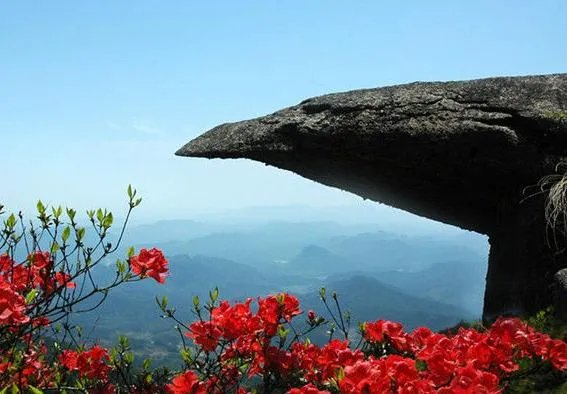 福建7地入选“中国森林氧吧”,分别是哪7个?