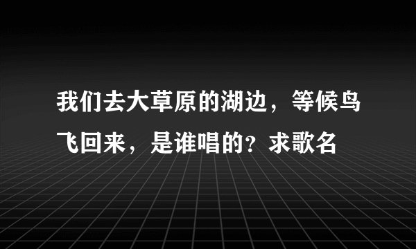 我们去大草原的湖边，等候鸟飞回来，是谁唱的？求歌名