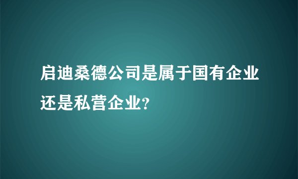 启迪桑德公司是属于国有企业还是私营企业？