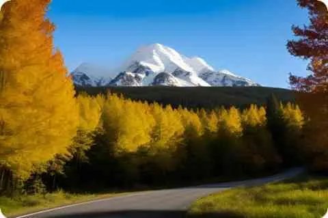 凡高手表价格与图片 凡高手表官网