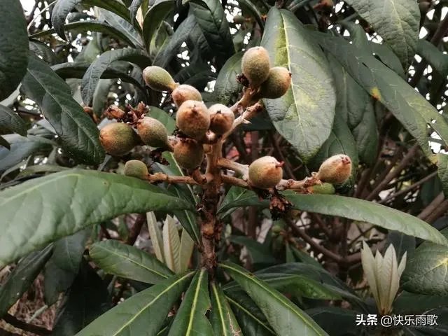 母亲用身体缓解儿子高考压力