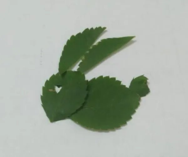 小兔子手工制作方法