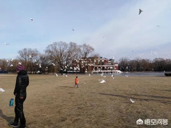 北京哪家温泉比较好？