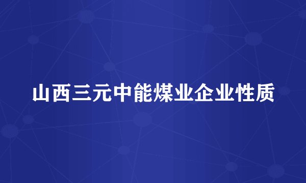 山西三元中能煤业企业性质