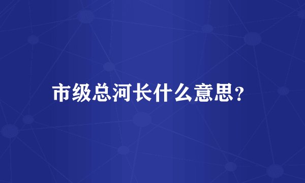 市级总河长什么意思？