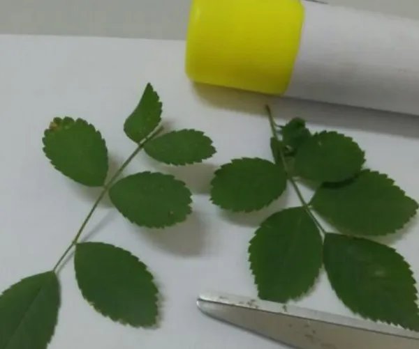 小兔子手工制作方法