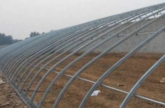 河北承德双滦区一蔬菜大棚意外倒塌的原因查明了吗？