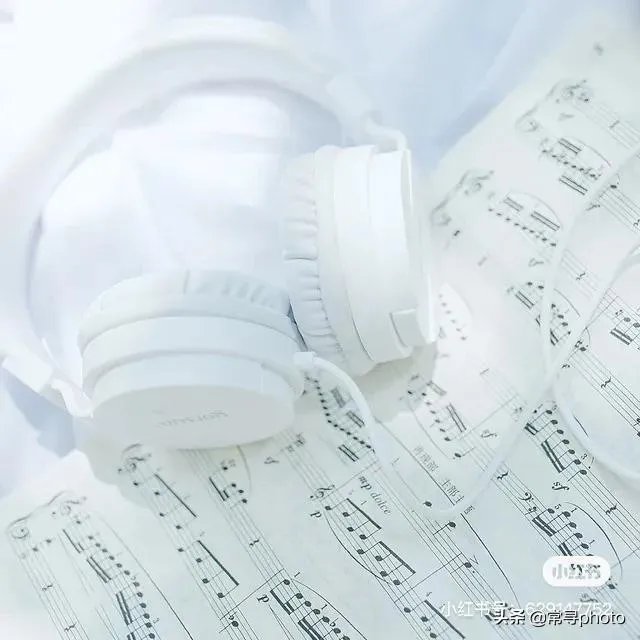 学摄影一定要参加学习班吗?选择什么形式的学习班比较合适?