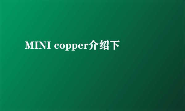 MINI copper介绍下