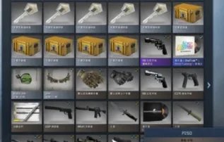 csgo完美通行证是什么意思