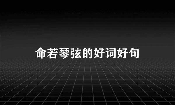 命若琴弦的好词好句