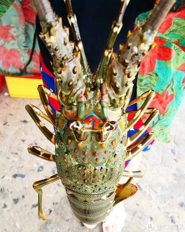 龙虾怎么做好吃