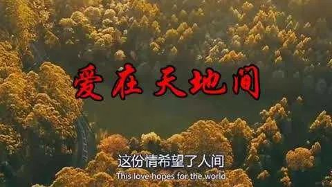 跪求文章的《爱可有天荒地老》mp3百度网盘资源