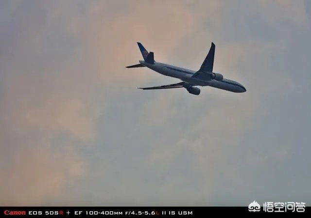 佳能100-400镜头适合拍什么?