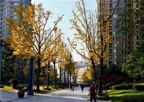 小区监控一般保存多久