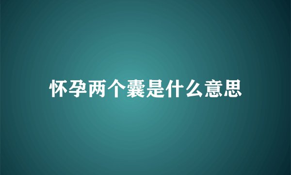 怀孕两个囊是什么意思