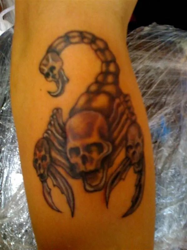 蝎子纹身图案的含义