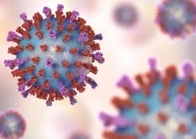 上海一入境的人员在解除隔离11天后确诊,新冠病毒究竟有多狡猾?