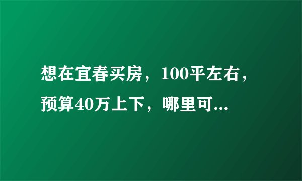 想在宜春买房，100平左右，预算40万上下，哪里可以推荐？