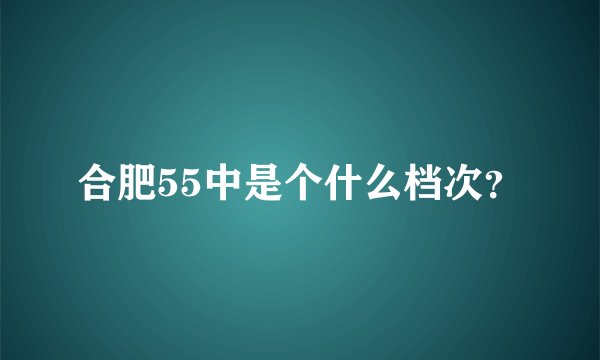 合肥55中是个什么档次？