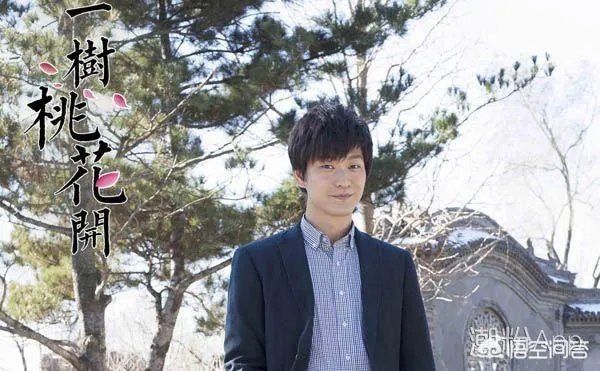 电视剧《一树桃花开》,相比盛开,为啥狄英最后能治服罗耀辉母?