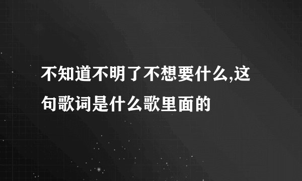 不知道不明了不想要什么,这句歌词是什么歌里面的