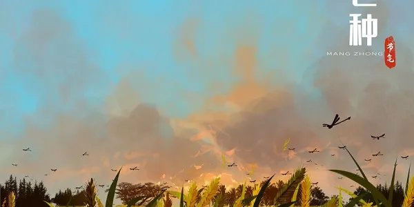 芒种是什么意思 芒种节气的含义
