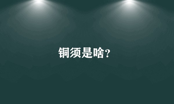 铜须是啥？