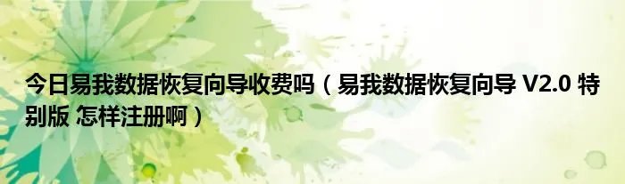今日易我数据恢复向导收费吗（易我数据恢复向导 V2.0 特别版 怎样注册啊）