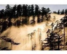 瓦屋山的门票是多少？