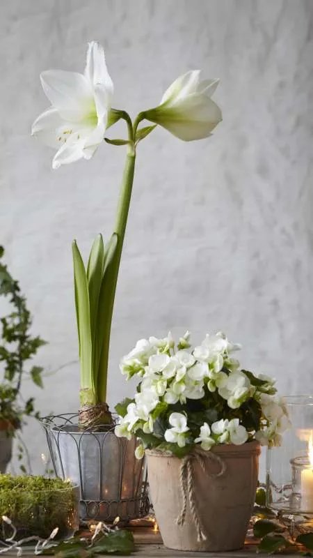 也有好多国外大学是野鸡大学，不知道师资力量尽量别选择，还不如在国内学的东西多，孩子有可能学坏，