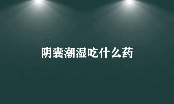 阴囊潮湿吃什么药