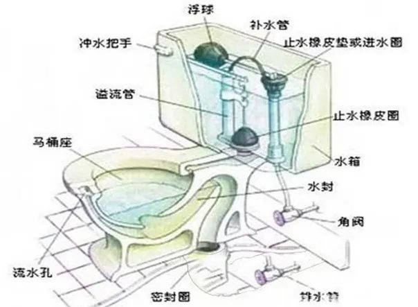 马桶的结构是怎样的