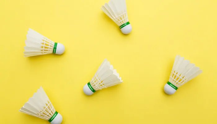 羽毛球拍十大品牌排行榜 羽毛球拍品牌排行前十