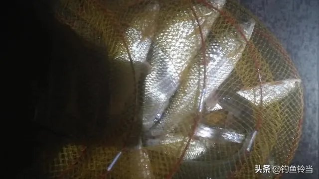 船钓用什么钓具