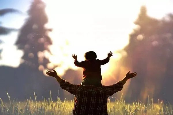 上海父子放大镜实验烧毁2000平草坪，这对父子的做法是否合法？