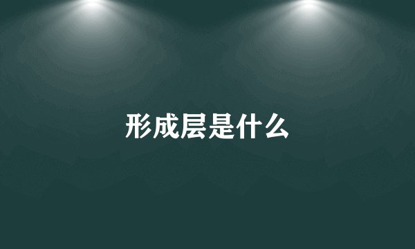 形成层是什么