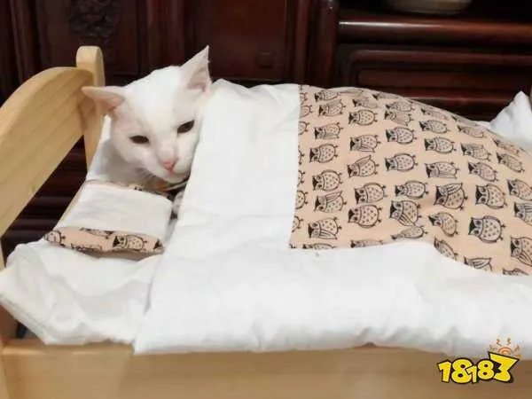 老太太钻被窝意思、含义、出处