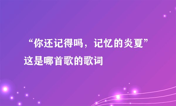 “你还记得吗，记忆的炎夏”这是哪首歌的歌词