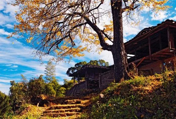 福建7地入选“中国森林氧吧”,分别是哪7个?