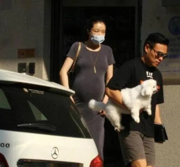 熊黛林怀双胞胎女是真的吗？