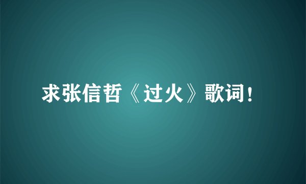 求张信哲《过火》歌词！