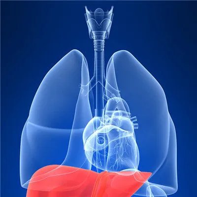 小肝癌的早期症状?