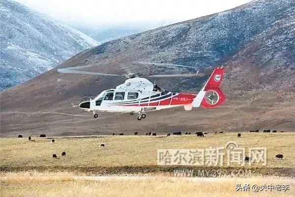 除了空客135还有什么直升机